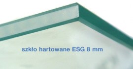 szkło hartowane ESG 8mm ESSENTE A20P